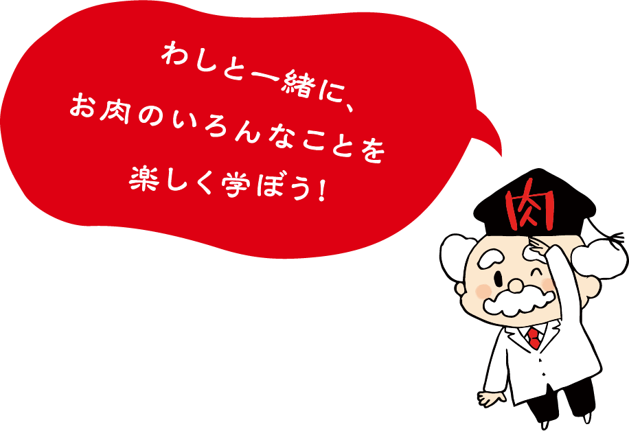 お肉博士