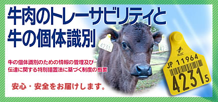 牛肉のトレーサビリィについて